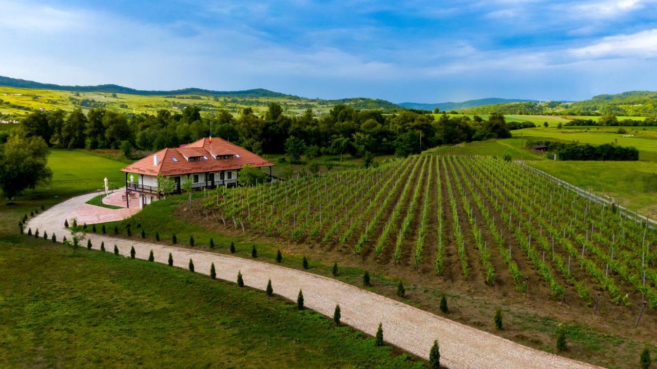 Pensiunea Sonnenhof Sighişoara Exteriör bild